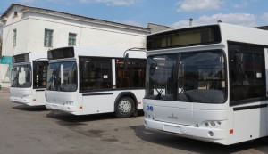 belorusskie-avtobusi